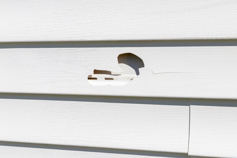 Signs You Need Siding Repair