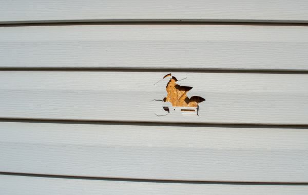 Cost of Siding Hole Patching in Bremerton